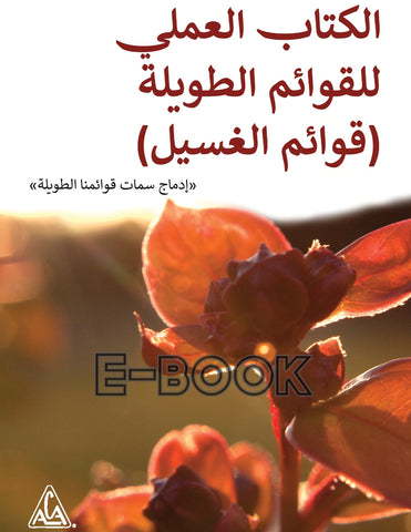 مصنف قائمة الغسيل / Arabic The Laundry List Workbook - E-book