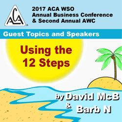 2017 AWC - David McB, Barb N  - Using the 12 Steps (CD not available; download only)