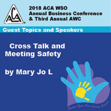 2018 AWC - Mary Jo L - Cross Talk & Meeting Safety  (CD not available; download only)