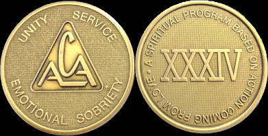 Yearly ACA Bronze Medallions