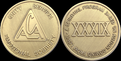 Yearly ACA Bronze Medallions