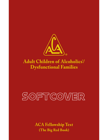 Connections - A Guide to Using Support in ACA Recovery
